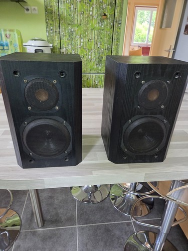 Tres rare paire enceinte - tres,